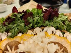 -烹然四季椰子鸡火锅(团结湖总店)