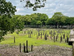 -河姆渡遗址博物馆