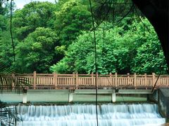 -广州白江湖森林公园