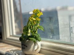 -宝瑞门钉肉饼店