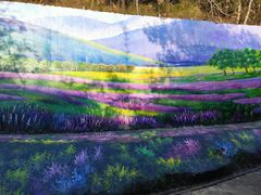 -广州白江湖森林公园