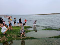 -日照灯塔风景区