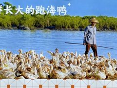 -虎婆冷饮店·海南特色炒冰(三亚湾店)