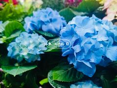 -晓港公园