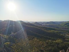 -金石滩蓝莓谷庄园