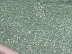 -九龙公园