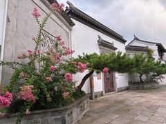 -黎里古镇