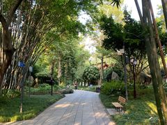 景点-望江楼公园