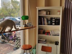 -青春加萌照相馆