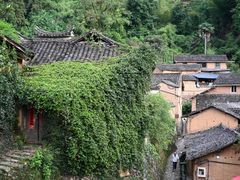 -杨家堂村