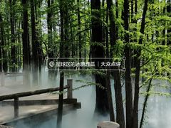 -东湖落雁景区