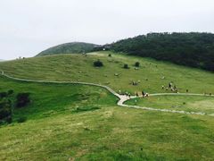 -永泰中国云顶
