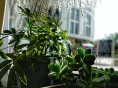 -隹木咖啡馆(宝龙广场店)