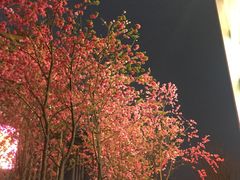 -多哥水傣味餐厅(司马巷店)