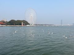 -无锡蠡湖国家湿地公园-蠡园