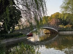-沙市市中山公园