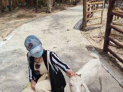 -六鳌翡翠湾滨海度假景区