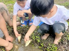 -中国天府农业博览园