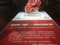 -湖南省地质博物馆