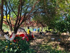 -永定河休闲森林公园