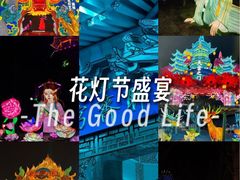-淄博花灯齐彩城