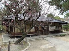 -名古屋城