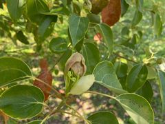 -艾溪湖湿地公园