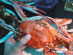 -盒马鲜生(大成店)