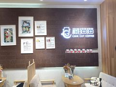 大堂-藏猫猫咖啡主题馆(中央大道店)