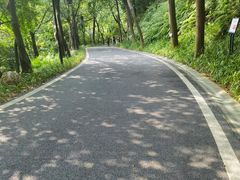 -广州雕塑公园