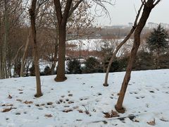 -河北省园博园