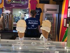 -Dooley's Premium Ice Cream