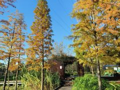 -昆山城市生态森林公园