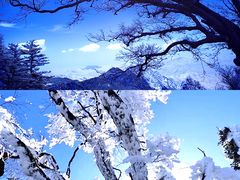 -尧山风景区