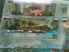 -旺顺阁鱼头泡饼(小红门店)
