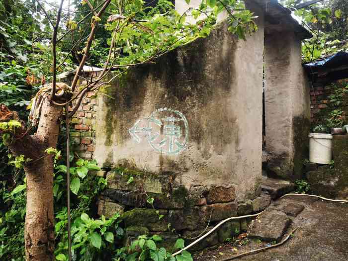 冻绿房-"坐六号线从上新街站走出来,抬头就能看到重."-大众点评移动版