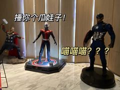 -SFC上影影城(港汇永华IMAX激光店)