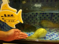 -富瑶大酒店(强工二街店)