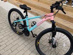 -道路口单车爱瓦士dahon大行