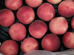 -上海龙吴水胜海发市场