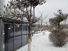 -回龙观体育文化公园