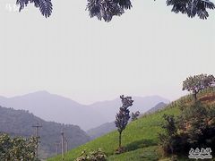 -王顺山国家森林公园