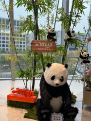 -IMON·HANSA潮玩玩偶毛绒玩具(通州万象汇店)