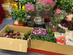 -中福百货(望京店)