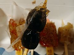 -盒马鲜生(红莲店)