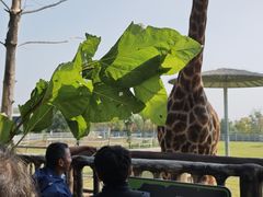 -南京金牛湖风景区
