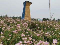 -七曲山风景区