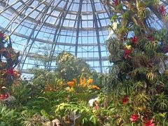 -芽庄珍珠岛游乐园