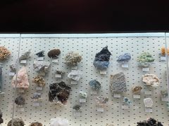 -浙江自然博物院(杭州馆)