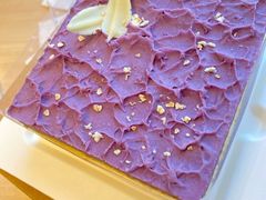 -壹点壹客·生日蛋糕(南山店)